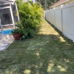 Re-Sod And Plants 