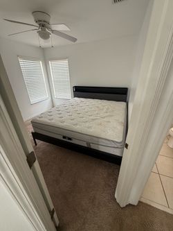 Free  King Mattress