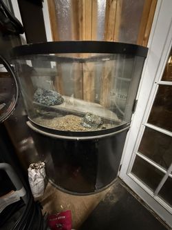 Corner Fish Tank