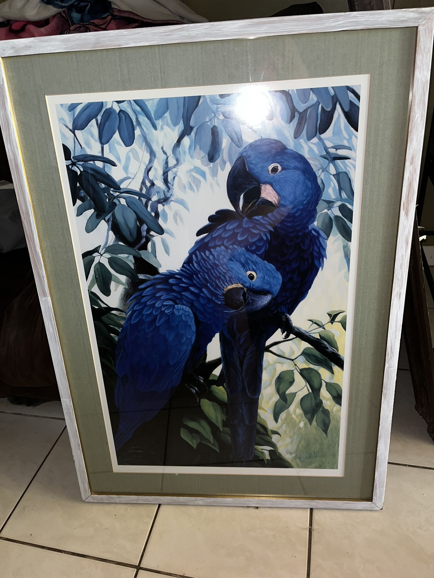 Picture / Parrot