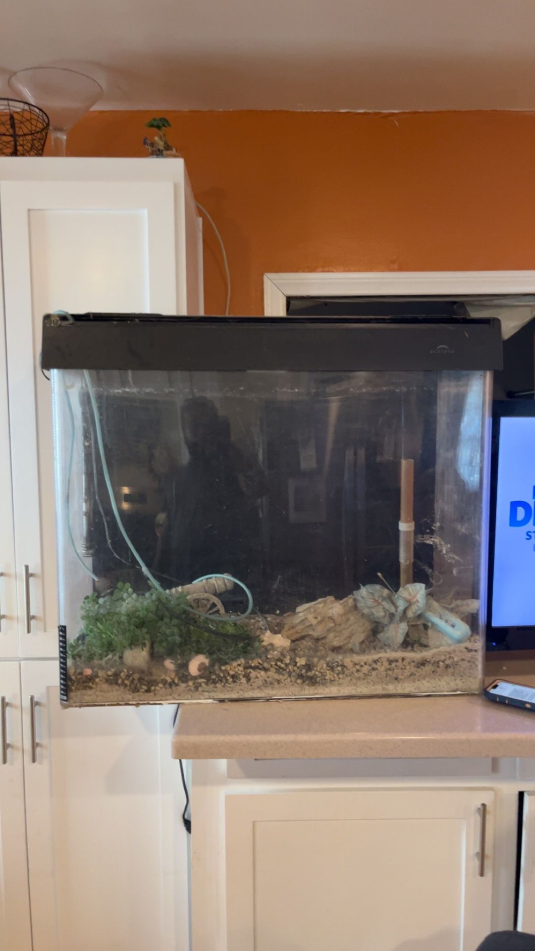 Eclipse 36x24x12" Plexiglass Aquarium