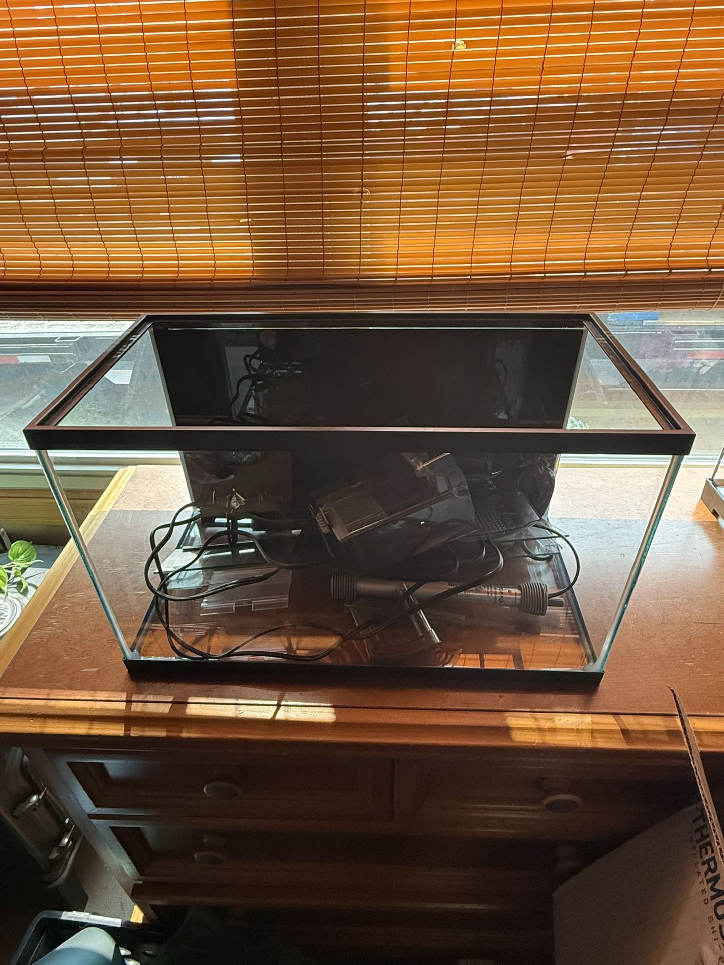10 Gallon Fish Tank