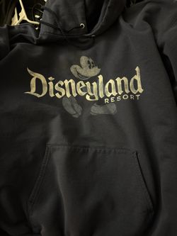 Disneyland hooded Sweatshirt