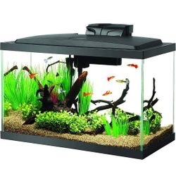 10 Gallon Fish Aquarium And ALL Accessories