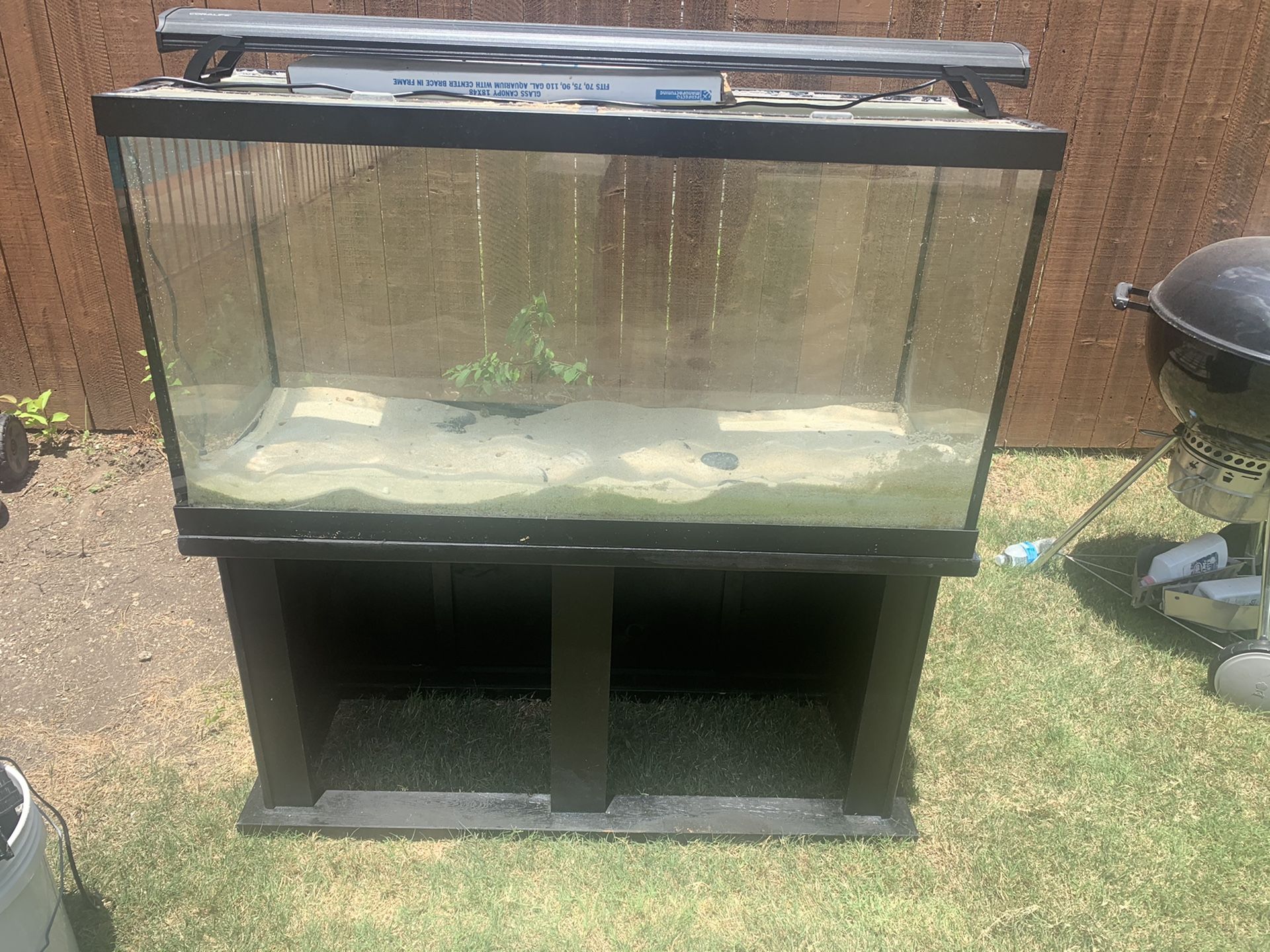 90g fish tank