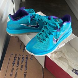 LeBron 9 Low Size 11