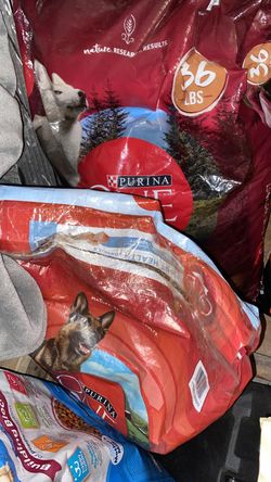 Merrick purina online