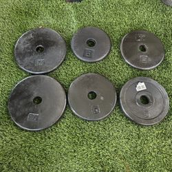 6 Weights Discs   