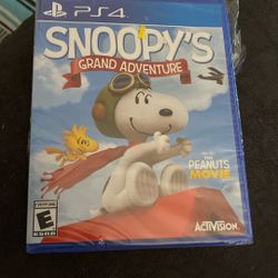 Video Game 