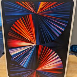 5th Gen iPad Pro 512gb