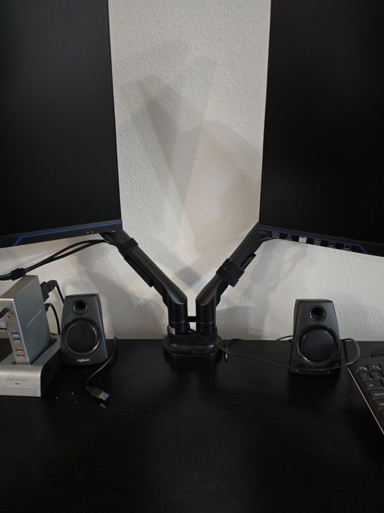 HP Dual Monitor Set