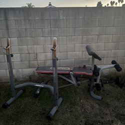 Bench Press With Bar And Weights