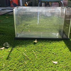 fish tank