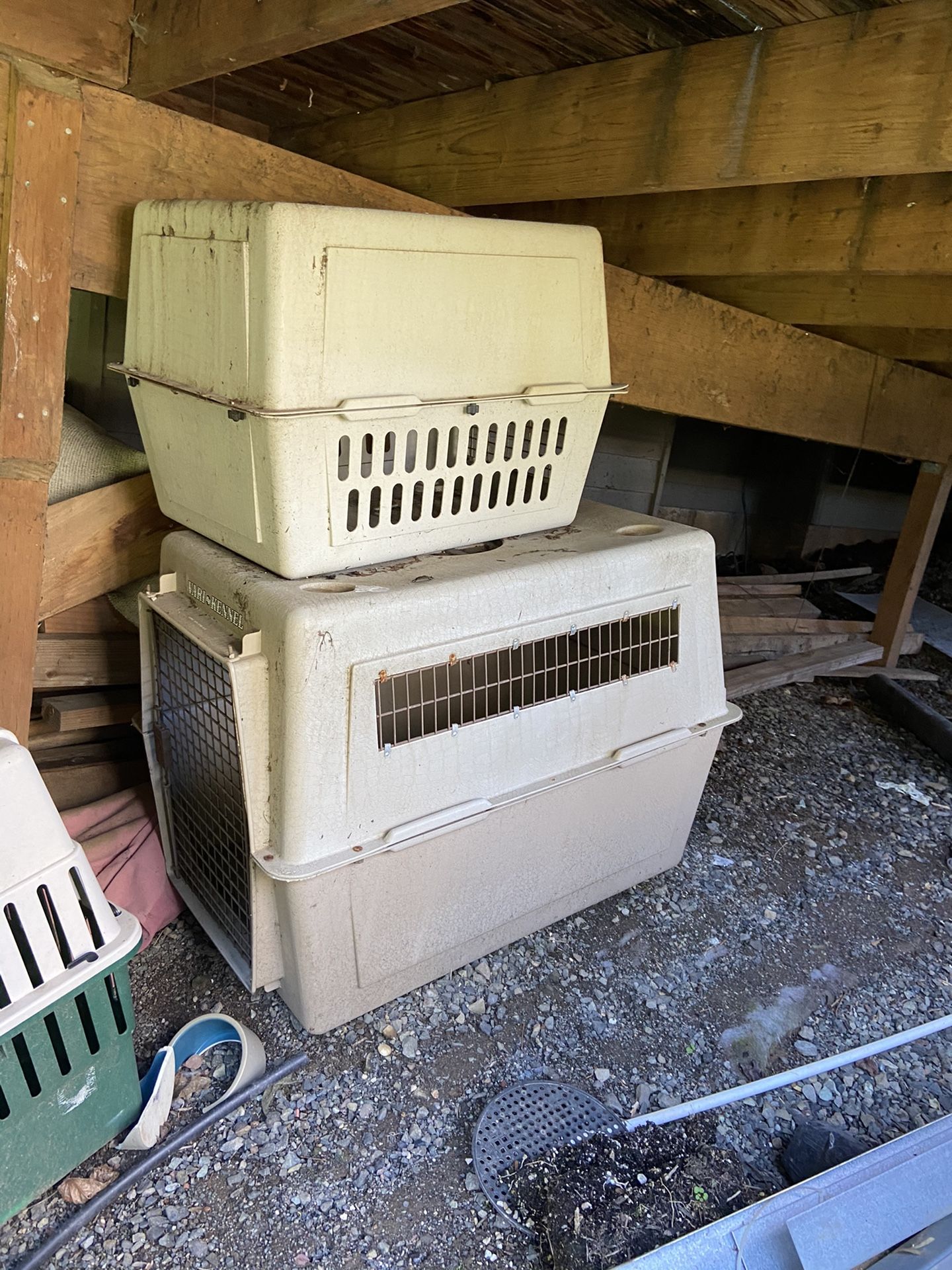 Large pet transporter