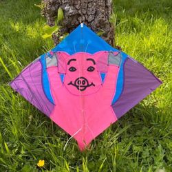 Fighter Kites 