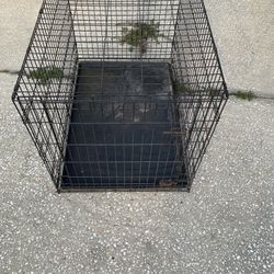 MOVING AWAY SALE Foldable Dog Cage