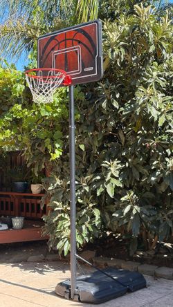 lifetime basketball hoop