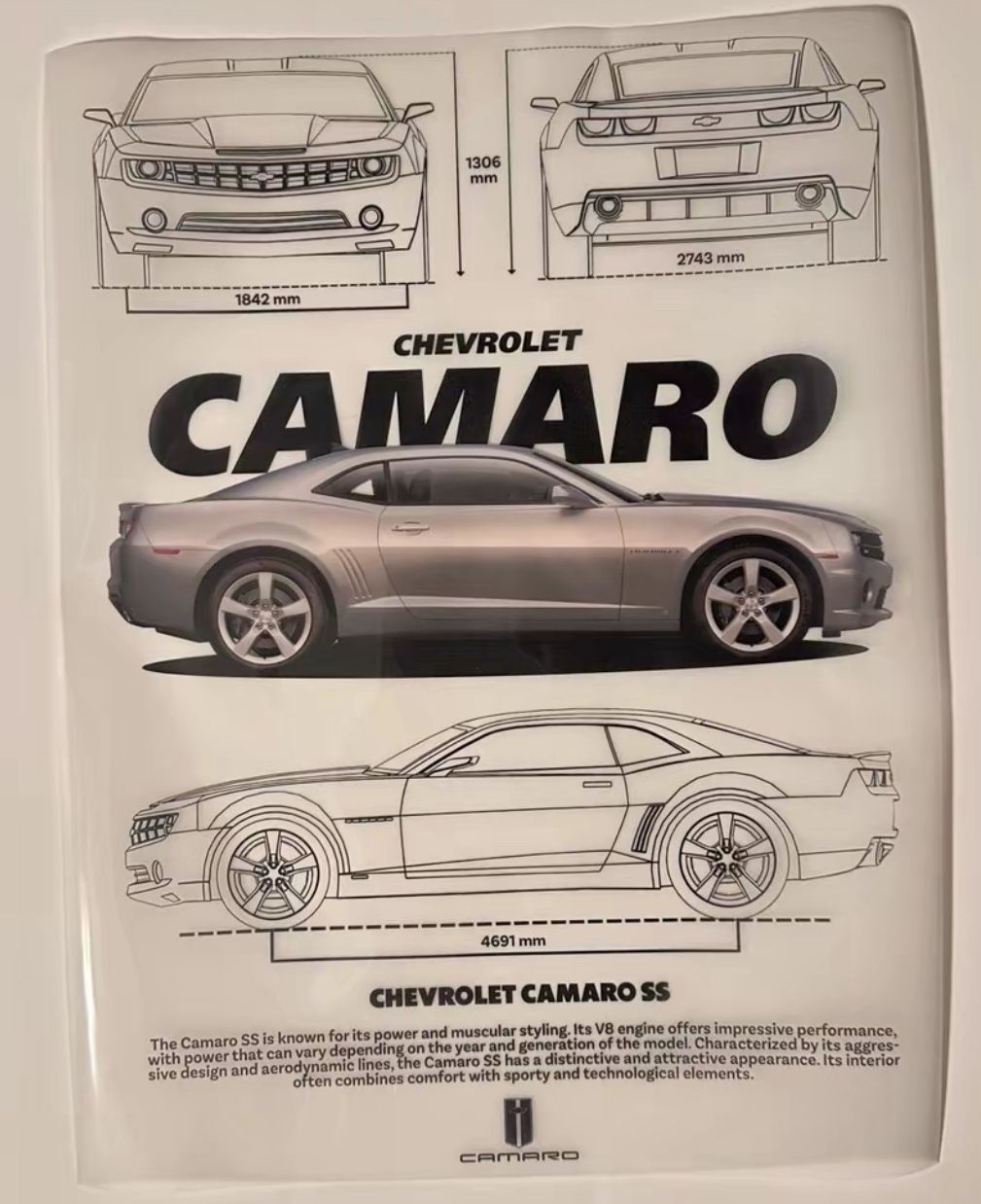 Ricoma Vision DTG DTF printer