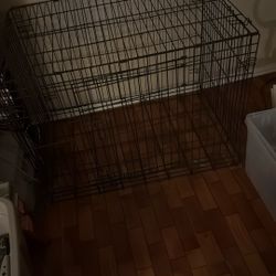 Dog Crate 