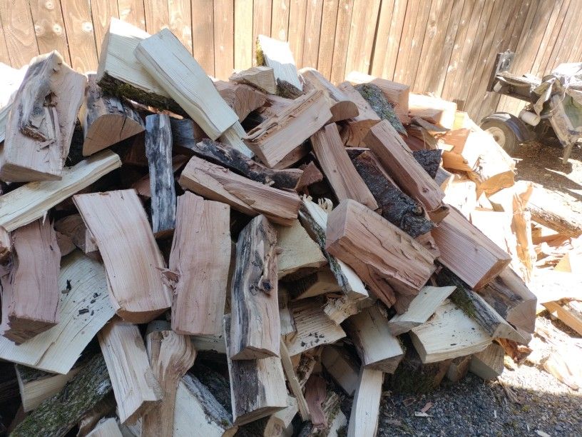 Madrona/Ash/Fir Mix