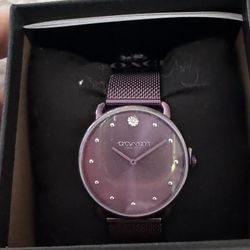 Brand New Coach Watch