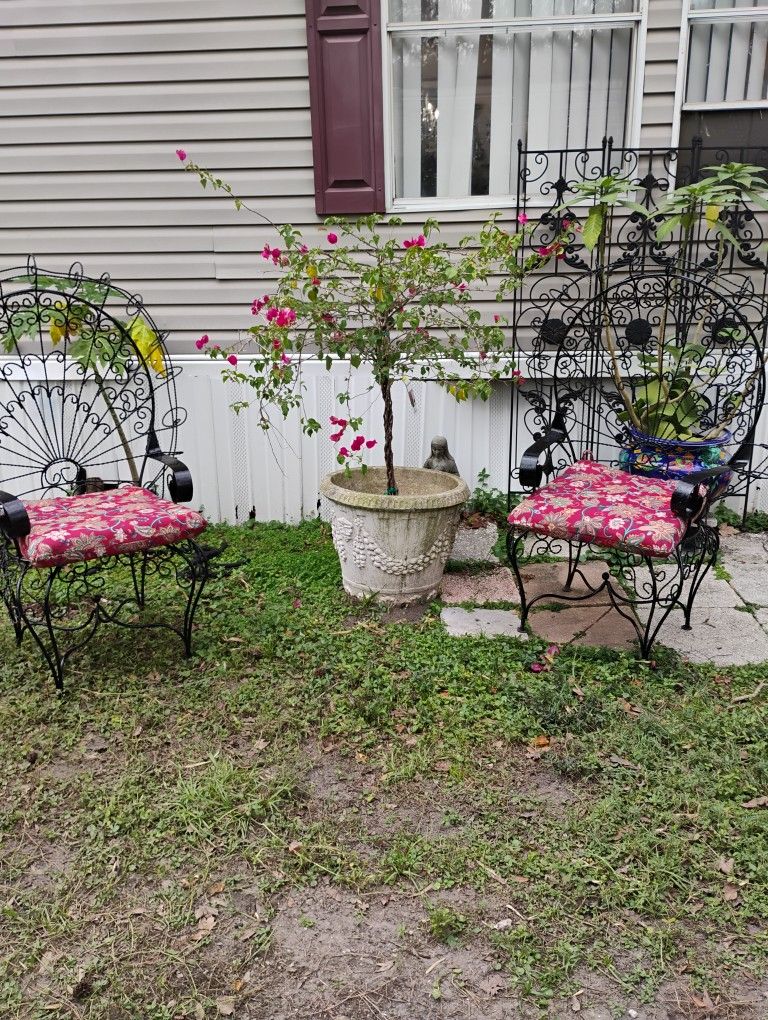 Antique Peacock Chairs