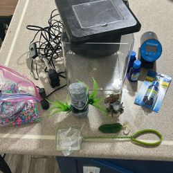 Beta Fish Tank And Accessories 