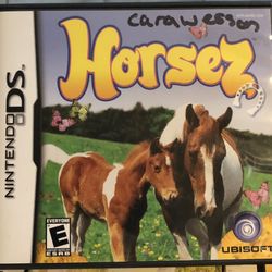 Nintendo DS Horsez VIDEO Game including Manual