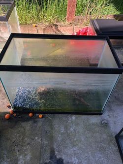 Fish Tank