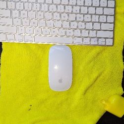 Apple Key Board And Mouse 