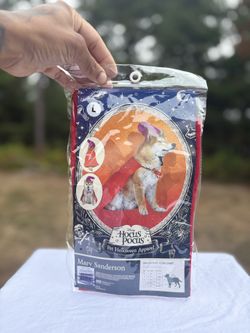 🎃 Disney Hocus Pocus Pet Halloween Costume Mary Sanderson (Large)