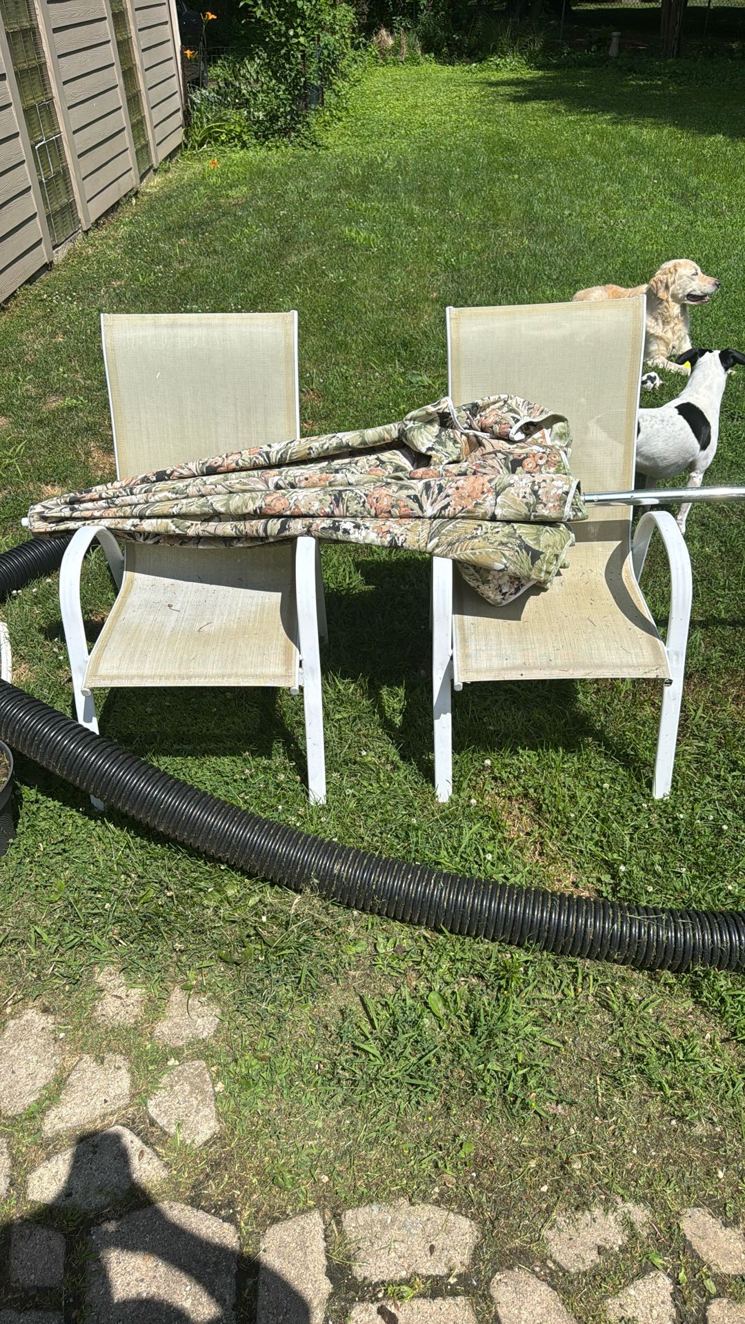 Used Backyard Collected Set