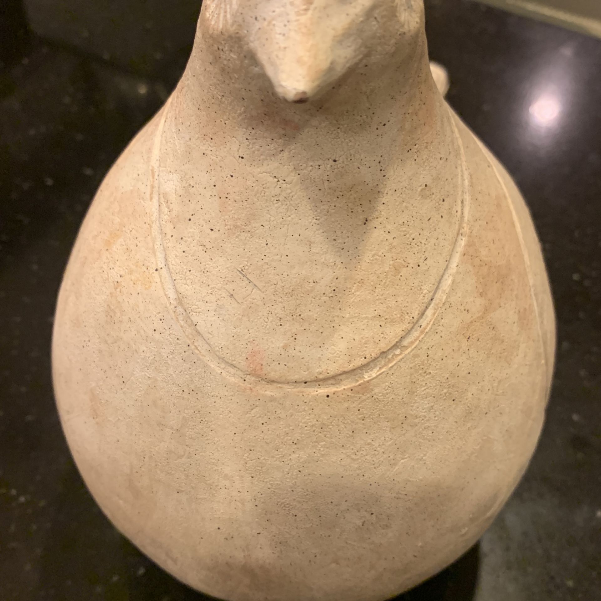 ベース DeliciousTaylormade ANTIGUA Bird JM 33 Antigua And Barbuda