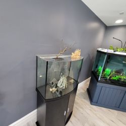 40 Gallon Acrylic Bow Aquarium With Stand 