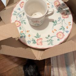 Churchill Dinner Plate And Cup 