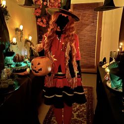 Handmade Complete Dani Dennison Hocus Pocus Halloween Costume - Women’s Size M