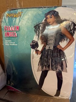 Halloween Costume Fallen Angel $10