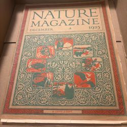 Lot of Eleven Vintage Nature Magazines