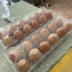 Organic Chicken Eggs