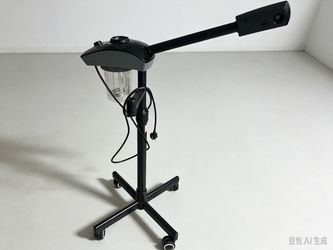 $10 Home Facial Steamer