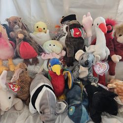 Beanie Babies By TY