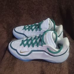 Nike LeBron 23 From This Point Forward Size 10.5