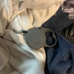 Retractable Leash