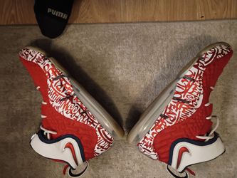 LeBron men shoes