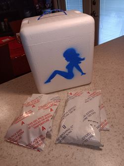 Compact Travel Ice Chest