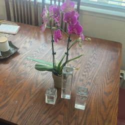 Candle Holders 