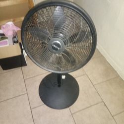 Fan 