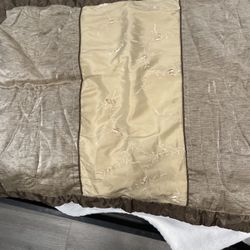 Comforter and two pillow shams. Queen Size