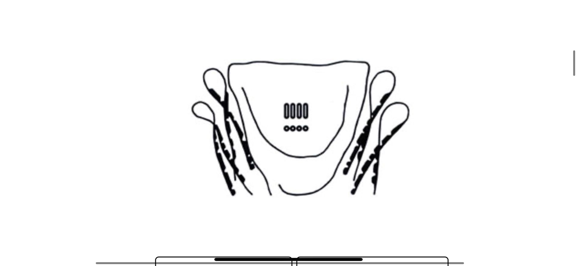 BUG 54-67 Whole Body Gaskets