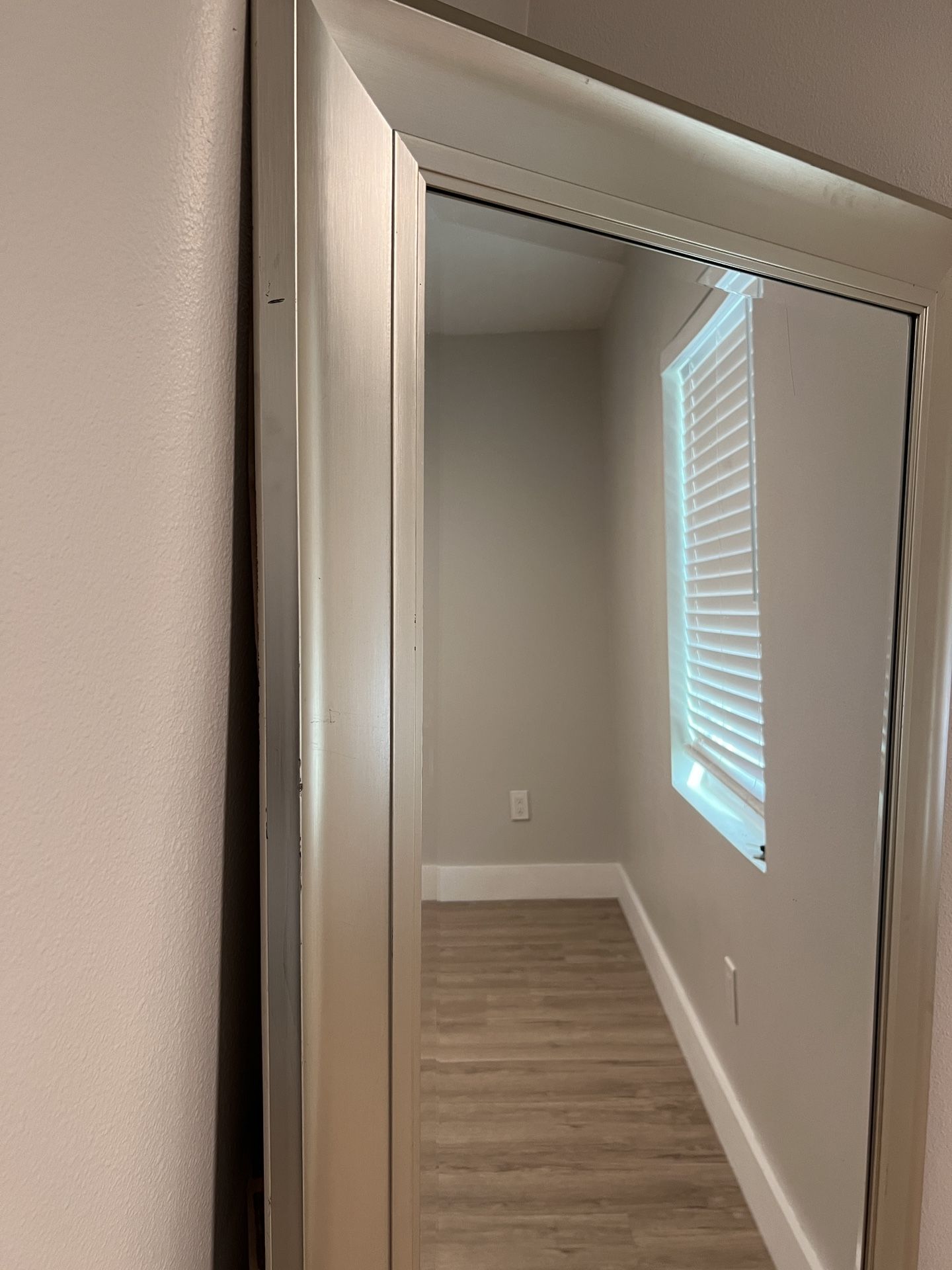 Full Body Length Champagne Mirror